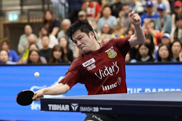 樊振东为何宁愿拆除百万合约？揭秘萨尔布吕肯用“尊重”创造乒坛遗迹的柔性措置术